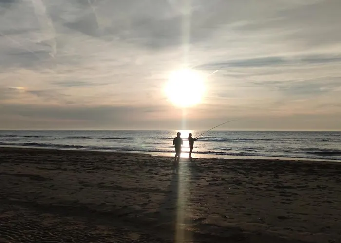 A\'Mare - Valparaiso Koksijde